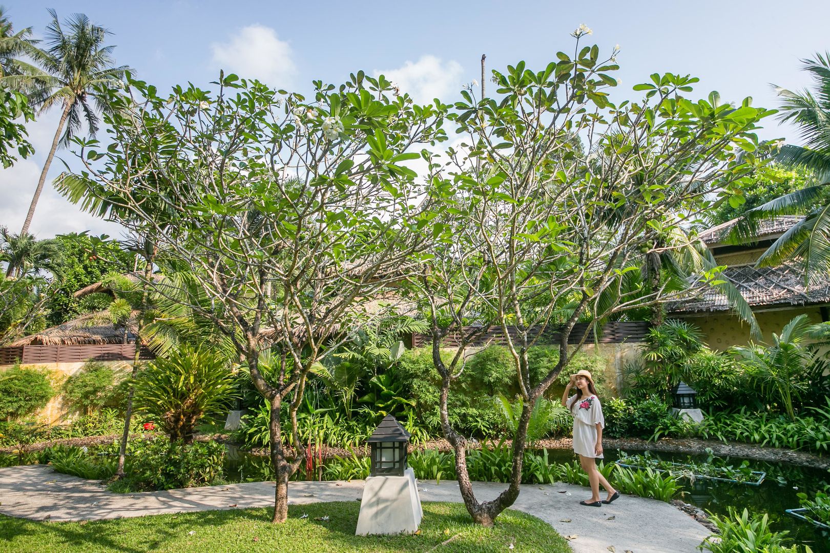 centara koh chang tropicana resort