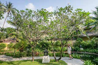 centara koh chang tropicana resort