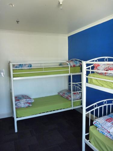 adelaide travellers inn hostel