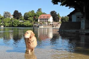 hotel and restaurant danner