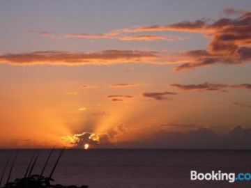 tamarind tree hotel and restaurant