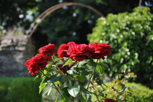 chateau du plessis anjou