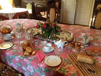 chateau du plessis anjou