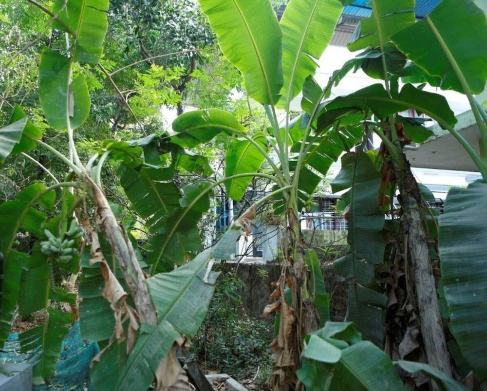 thrissur