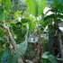 thrissur