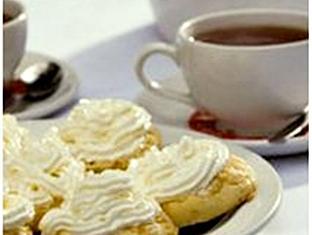 murray street 137 guest house