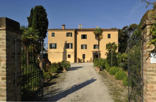 asciano