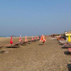 goa