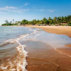 goa