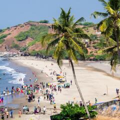 goa