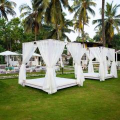goa