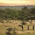 bushbuckridge