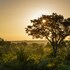 bushbuckridge