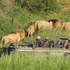 bushbuckridge