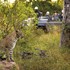 bushbuckridge