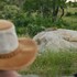 bushbuckridge