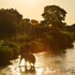 bushbuckridge