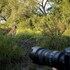 bushbuckridge