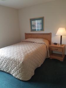 affordable suites lexington