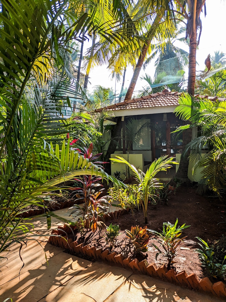 de soul sante morjim goa