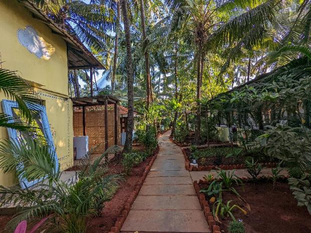 de soul sante morjim goa