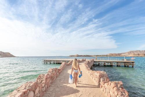 albatros sharm resort sharm el sheikh