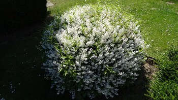 initial by balladins dieppe