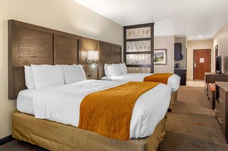 Comfort Inn & Suites Brighton Denver Ne Medical Center,Denver>>Brighton,3 star
