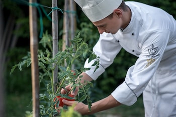 villa franceschi hotel and resort