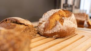 campuszwei hotel and boardinghouse