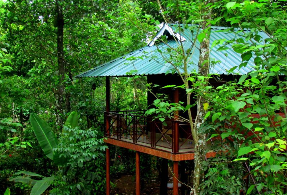 monsoon retreats ecostay