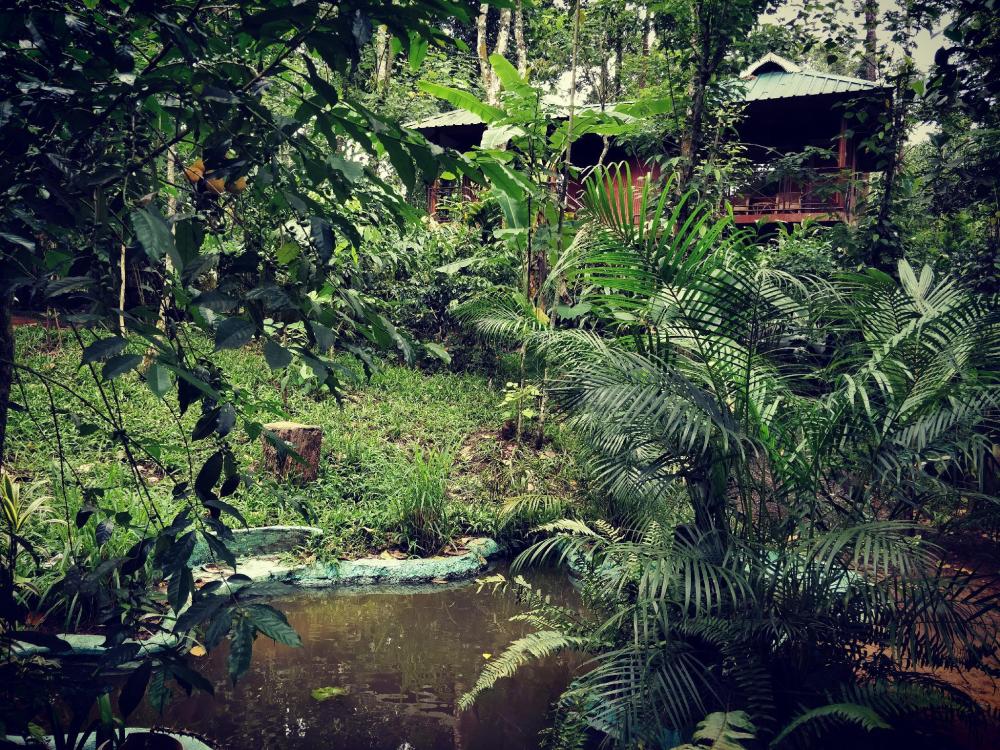 monsoon retreats ecostay