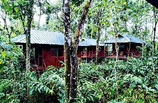 monsoon retreats ecostay
