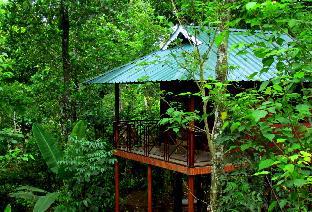 monsoon retreats ecostay