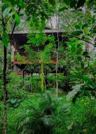 monsoon retreats ecostay