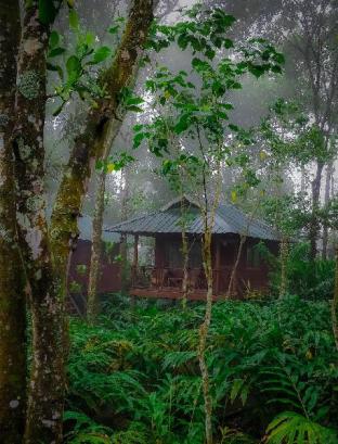 Monsoon Retreats Ecostay,Kumily>>Idukki,3 star