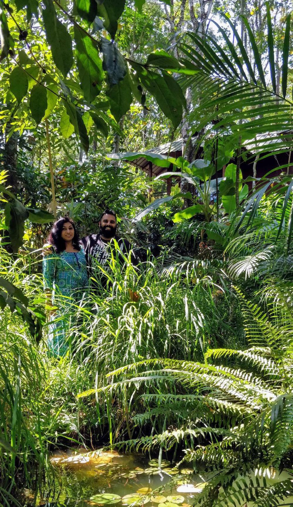 monsoon retreats ecostay