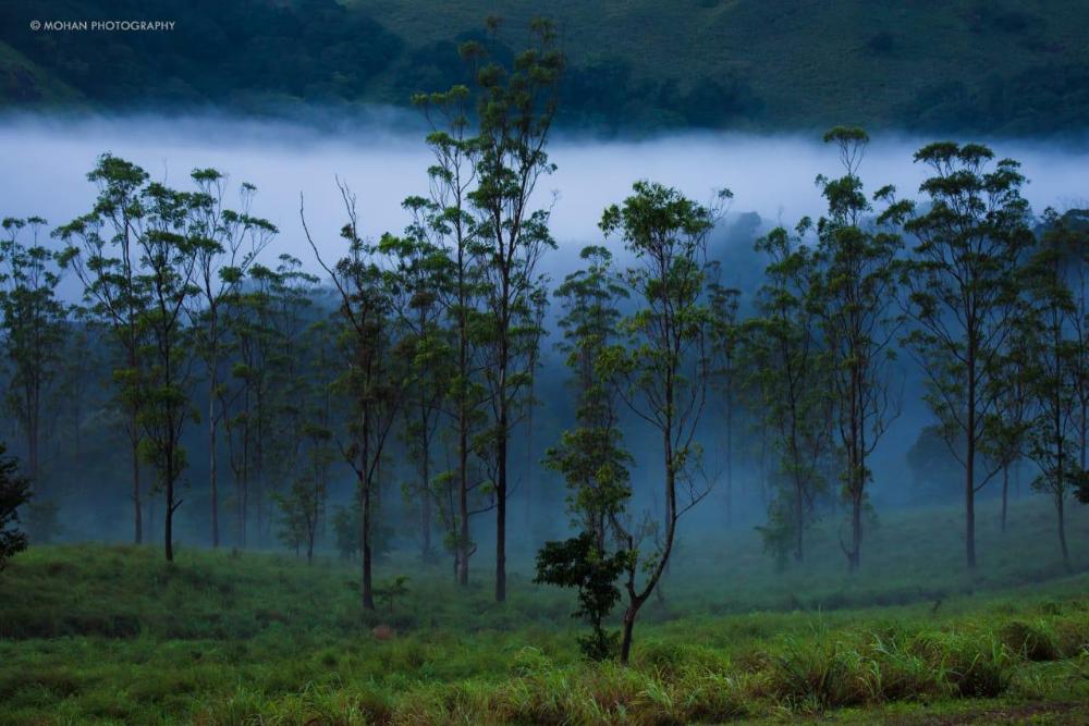 monsoon retreats ecostay