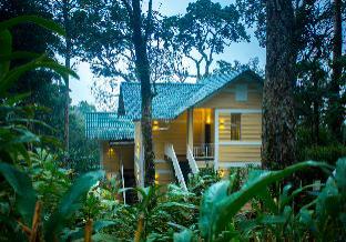 areva inn munnar by voye homes