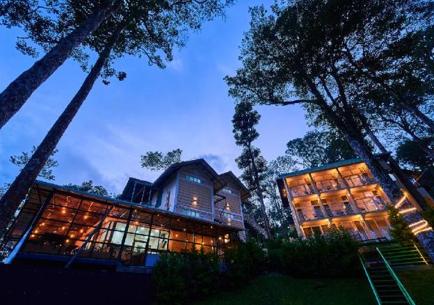 areva inn munnar by voye homes
