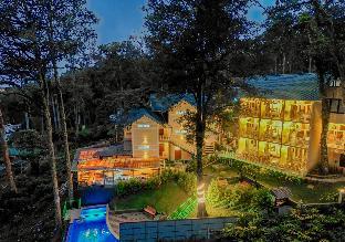 areva inn munnar by voye homes