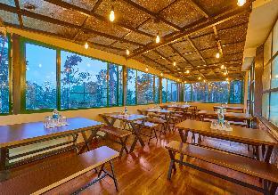 areva inn munnar by voye homes