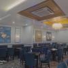 tulip tree hotel