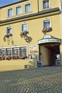 Hotel Gruner Baum,Hof>>Bavaria,3 star