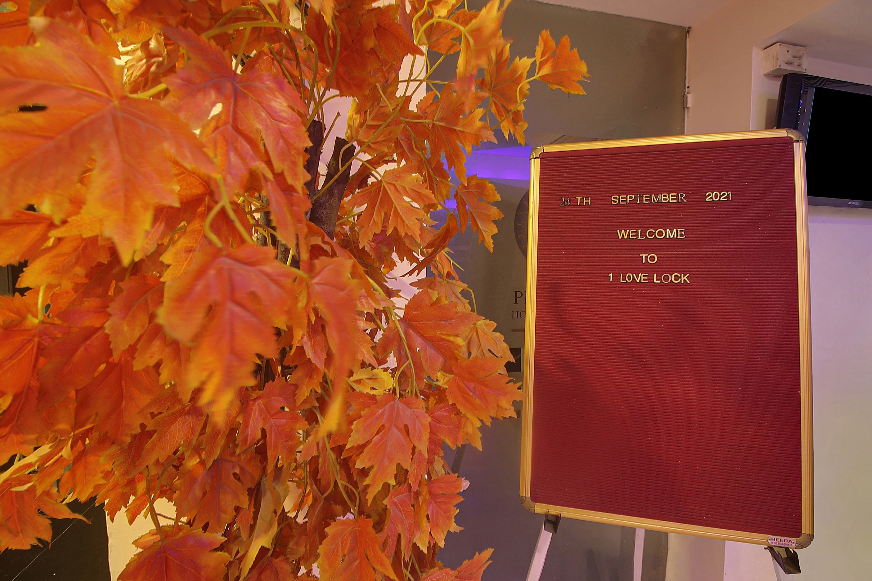 super townhouse oak ballygunge formerly hotel lovelock