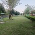 vanasthali jungle resort jim corbett