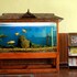jeevan ayurvedic beach resort