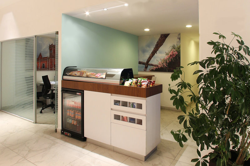 one queretaro plaza galerias