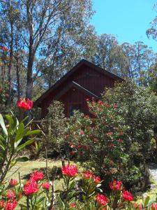 Cradle Highlander,Cradle Mountain-Lake St. Clair National Park>>Cradle Mountain,4 star