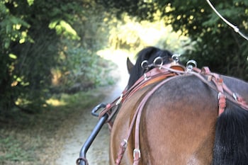 carmos boutique hotel